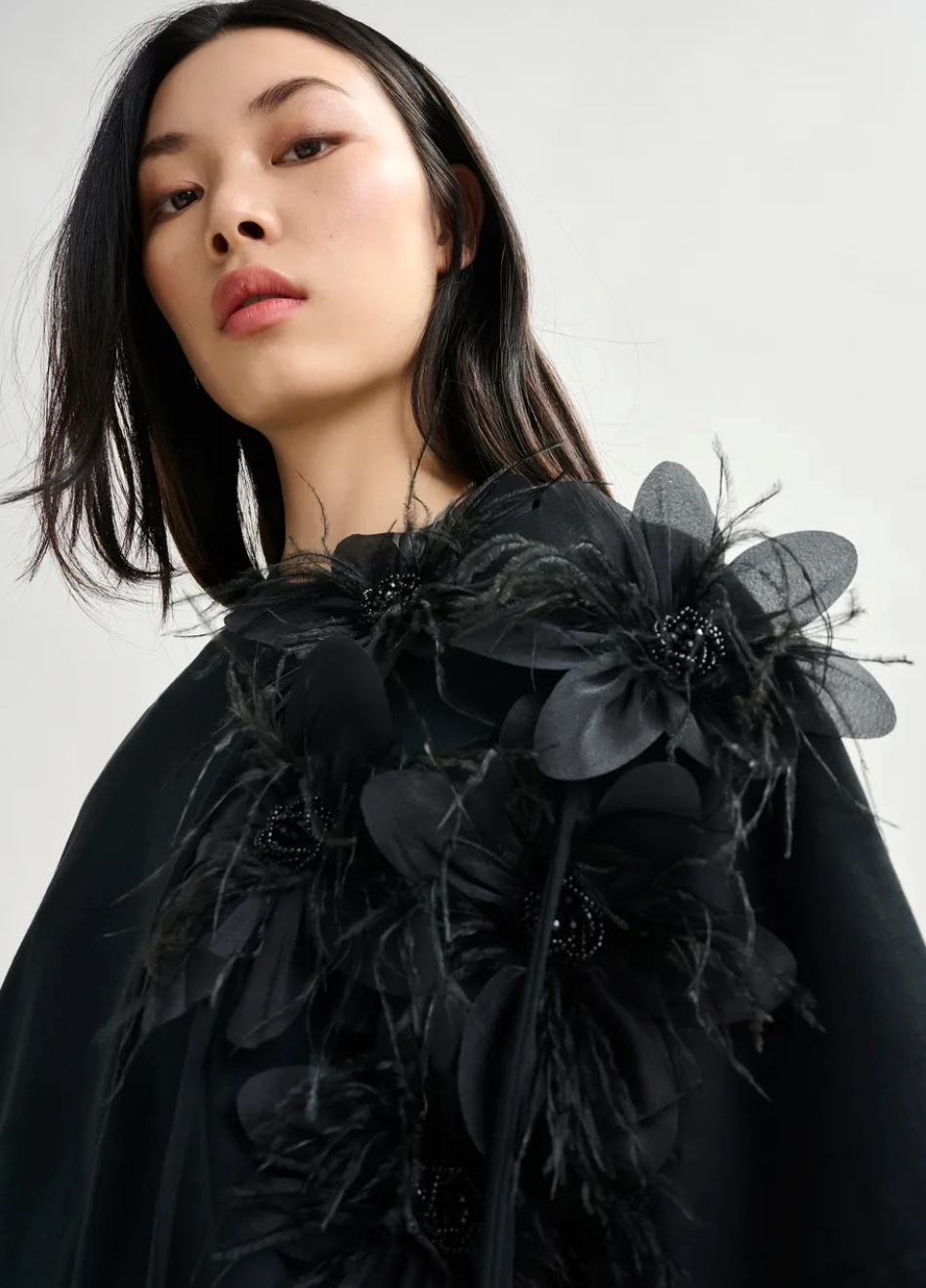 Doyles-AW25-Essentiel